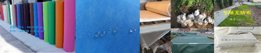 �ӱ�ʥ�U�o������˾