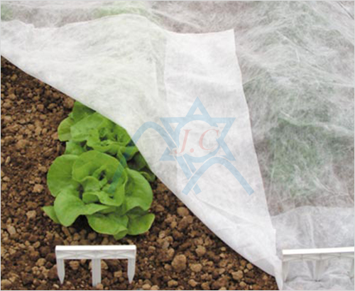 �ӏ�߅pp��ճ�o����