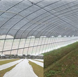 �r(n��ng)�I(y��)�ßo����