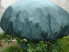 �r(n��ng)�ßo����