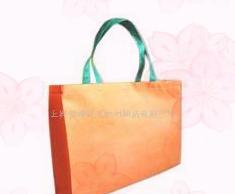 �o��ُ���