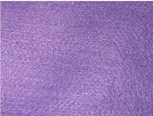 ���{ɫᘴ̟o����