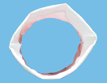 729�AͲ�V����