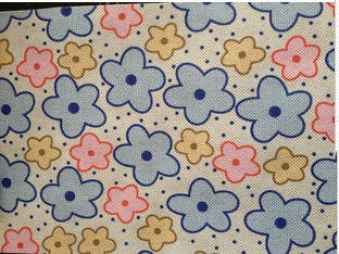 ��ճ�o����