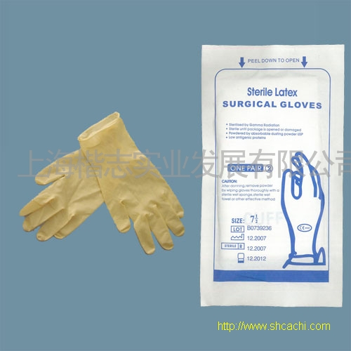 ����t�����g����