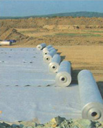 �����o����