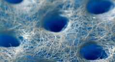 3D��ן��L�o����