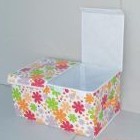 ����Ů�ɡ��p�w�ռ{�䡢�ռ{�ʡ�����ʡ���