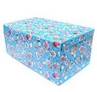 �o���������� 