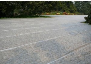 �@�֟o����