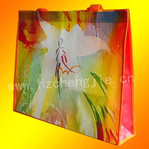 ��Ĥӡ����