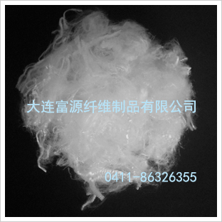 �۱�ϩ���w�S/PP���w 