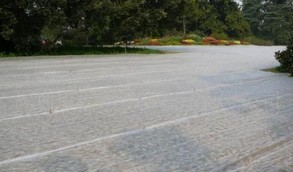 ߅�¾G���o����