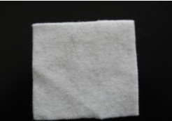 PPᘴ̟o����