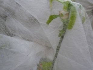 10��PP���]��ճ�o�����h���^�V��