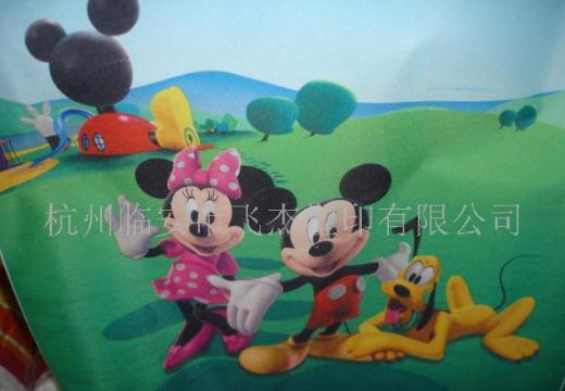 ���D��ӡ����