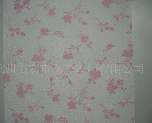 ӡ���o����