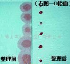 �t��������SMS�o���� 