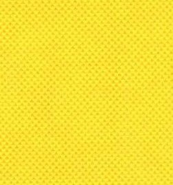 ��ճ�o����