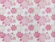 �黨ӡ����