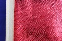 ������Ĥ�o����