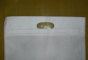 ƽ�ڟo������