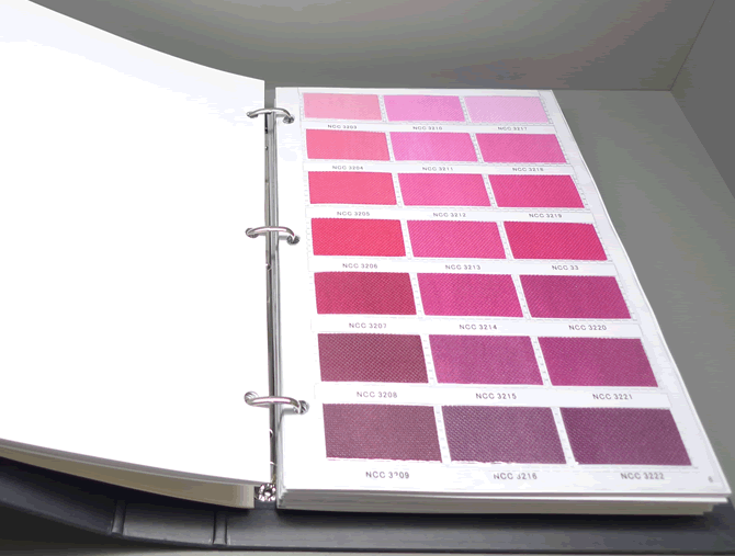 �o(w��)����CSNCCɫ��