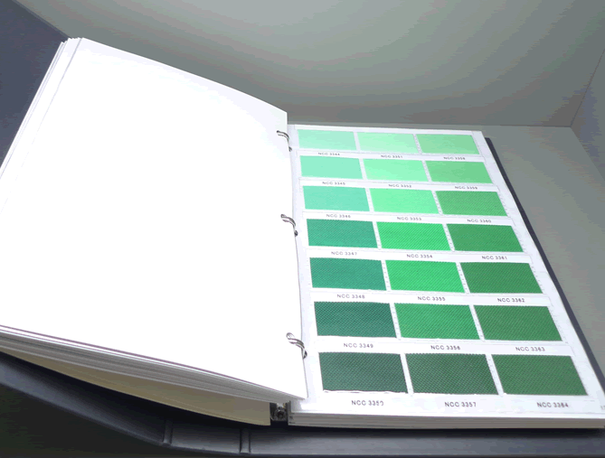 �o(w��)����CSNCCɫ��