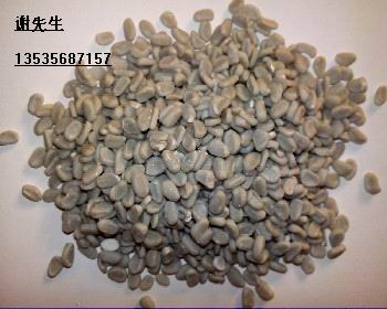 ͸�������