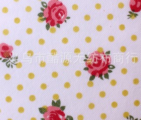 ӡ���o����