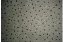 ����/�c�ܟo����