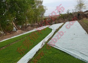 ����o����