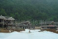 ���������ͺ�����Ĥ����ˮ̥����������������