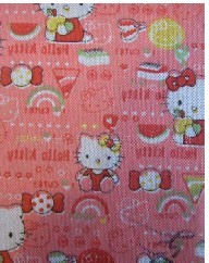 ���]ӡ���o����