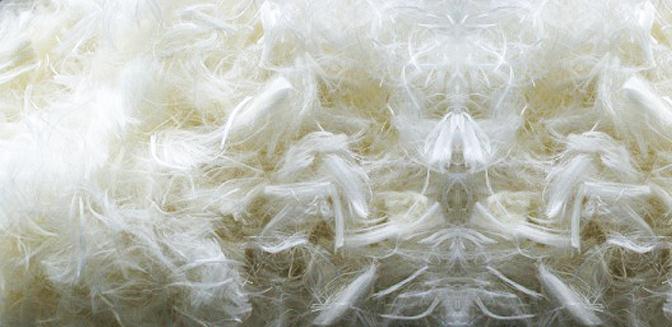 ���������w�S