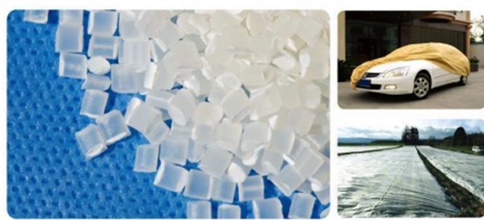 ���ϻ�ĸ��