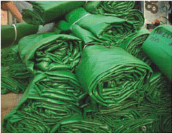 �S��ֱ�N������