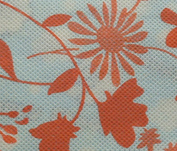 ӡ���o����