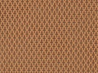 ʮ�ּy�o����