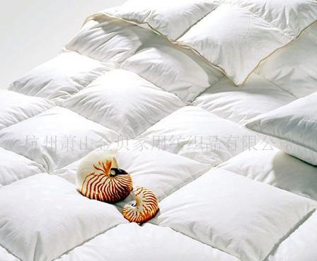 �����������w��