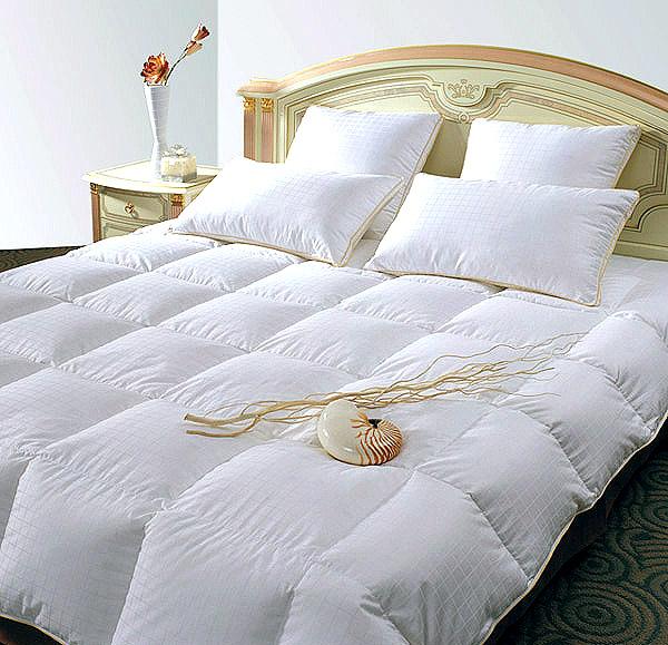 �Ҿ���q��