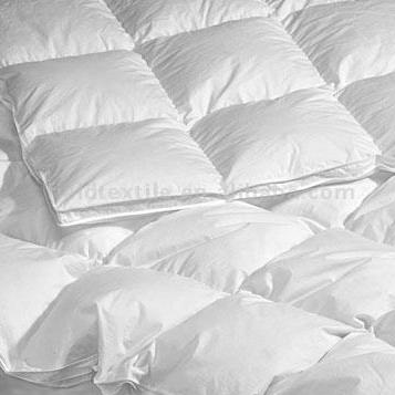 �o�������|