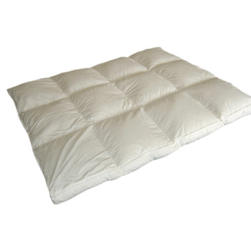 ���������׼�