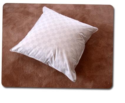 ���ÿ���