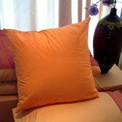 �������ÿ���