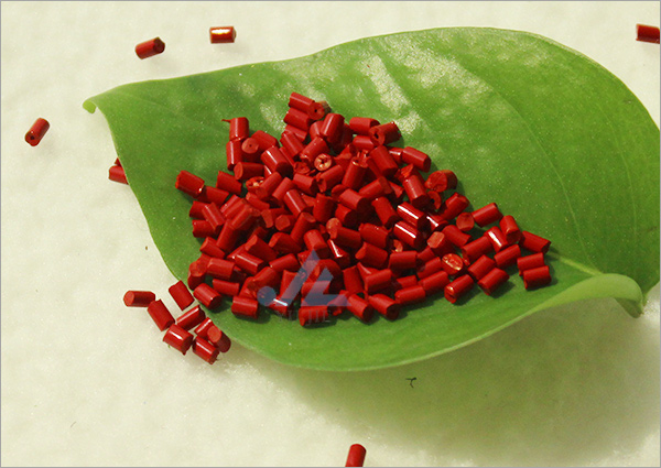 ���]�o����ɫĸ��