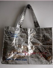 �o������ ��Ĥ