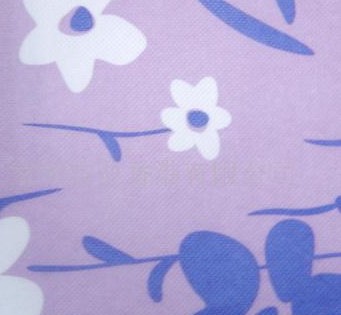 ӡ���o����