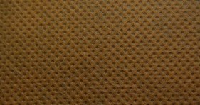 �h�����������pp�o����