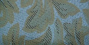 ppӡ���o����